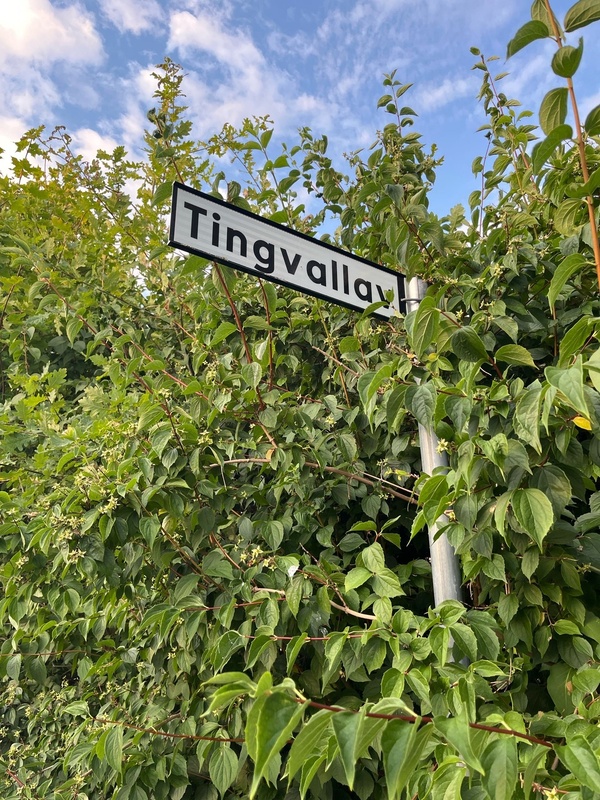 Tingvallav. street sign