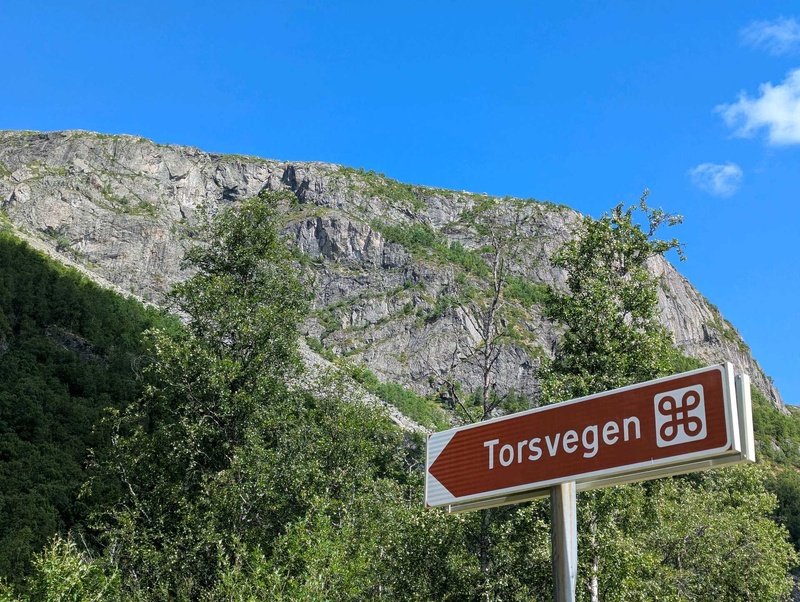 Torsvegen sign