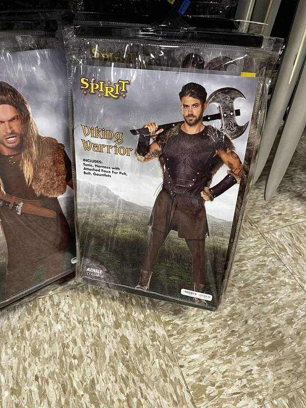 Viking Warrior Costume