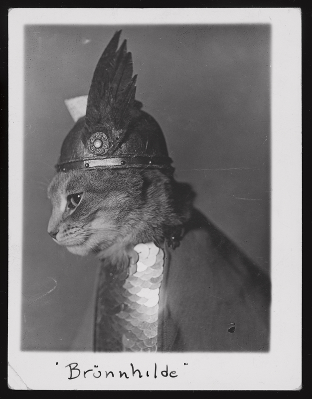 Brünnhilde, historical cat photo