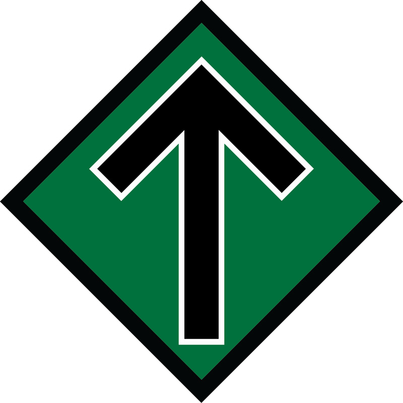 Logo of the Nordic Resistance Movement