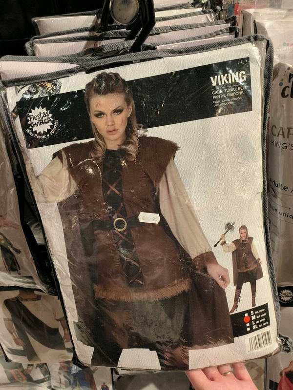 Female Viking costume