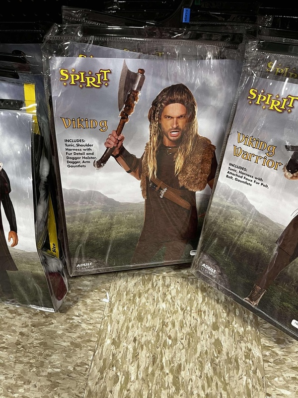 Viking Costume