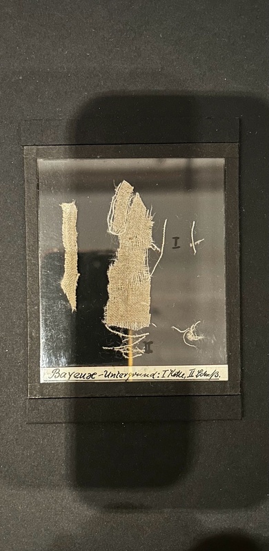 Piece of the Bayeux tapestry