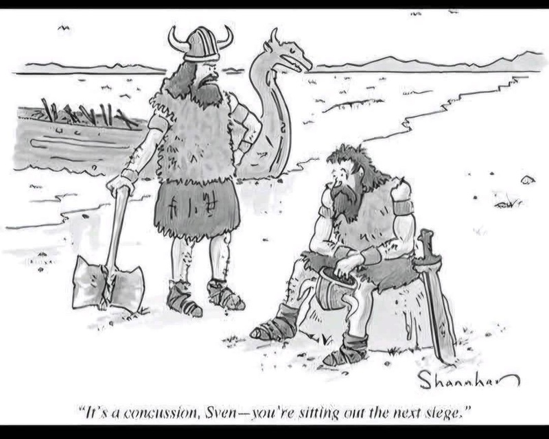 Viking Cartoon from The New Yorker (artist  Danny Shanahan)