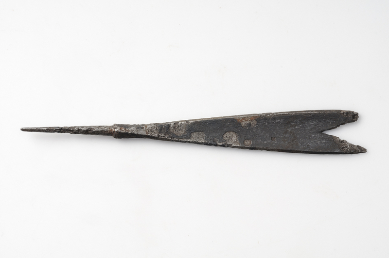 Hunting Arrow