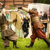 Viking Battle Reenactment