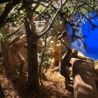 Exhibition at Vínlandsserur