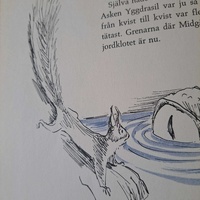 Yggdrasil childrens book