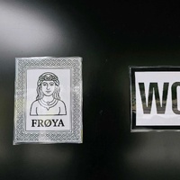 Viking-Themed Women's Restroom Sign