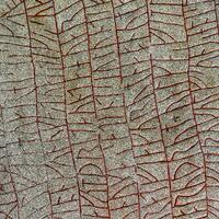 Photograph of detail from Rök Stone in Ödeshög (Sweden).