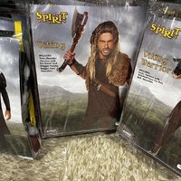 Viking Costume