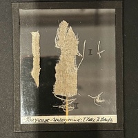 Piece of the Bayeux tapestry