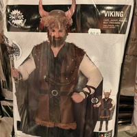 Viking costume