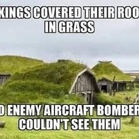 Meme about grass roofs
