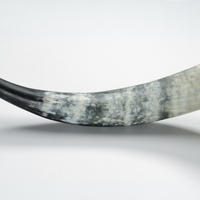 Copy / reconstruction of a Viking Age drinking horn,